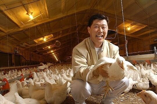하림은 대한민국을 대표하는 닭고기 회사이자 축산수직계열화 업체이다. 김홍국 회장의 성공신화는 육계계열화를 통해 시작됐지만, 하림 그룹의 닭고기 회사들은 낮은 영업이익률로 고전을 면치 못하고 있다.