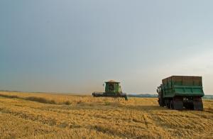 세계식량가격 지수 상승...흑해 곡물 협정 연장 불발 영향